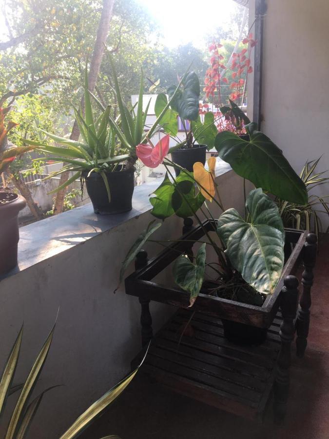 מאראריקולם Marari Sibiya Beach Villa מראה חיצוני תמונה